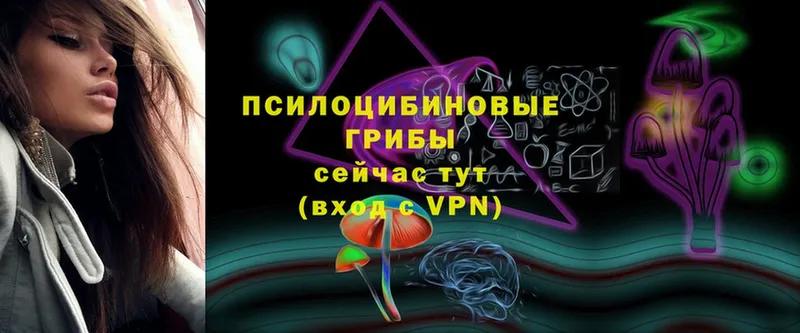 Галлюциногенные грибы Cubensis  сайты даркнета клад  Тавда  закладка 